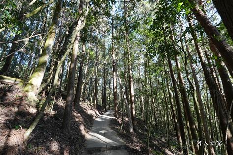 十字路|嘉義阿里山【十字路車站】順遊來吉步道，必吃十字路阿嬤草仔粿。